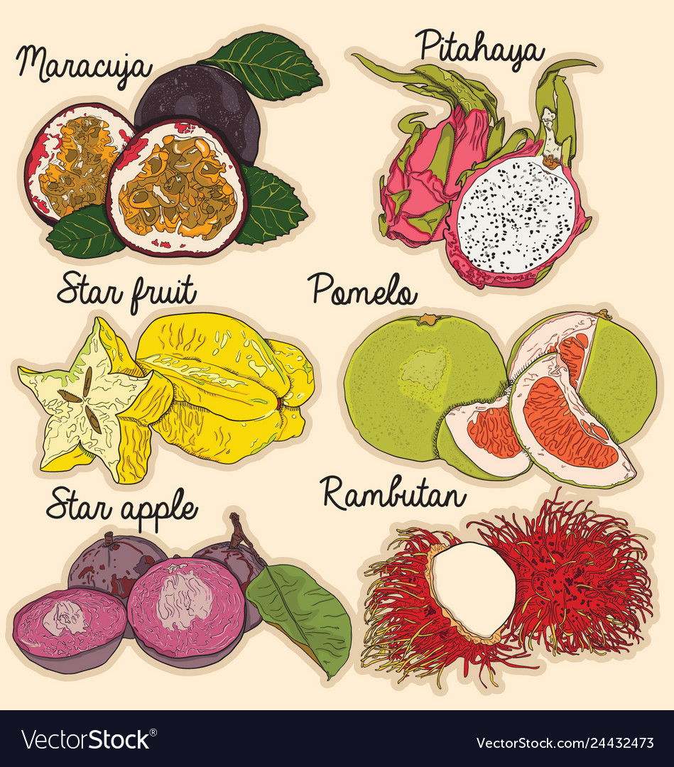 Ever wondered which exotic fruit best matches your personality? Answer these fun questions to find out if you're more of a vibrant dragon fruit, a sweet mango, or an adventurous rambutan!