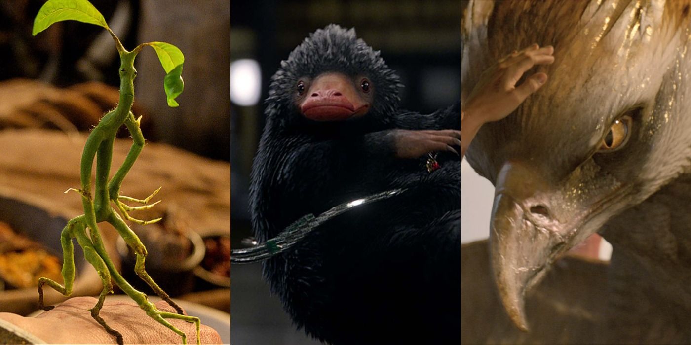 WHAT FANTASTIC BEAST ARE YOU?