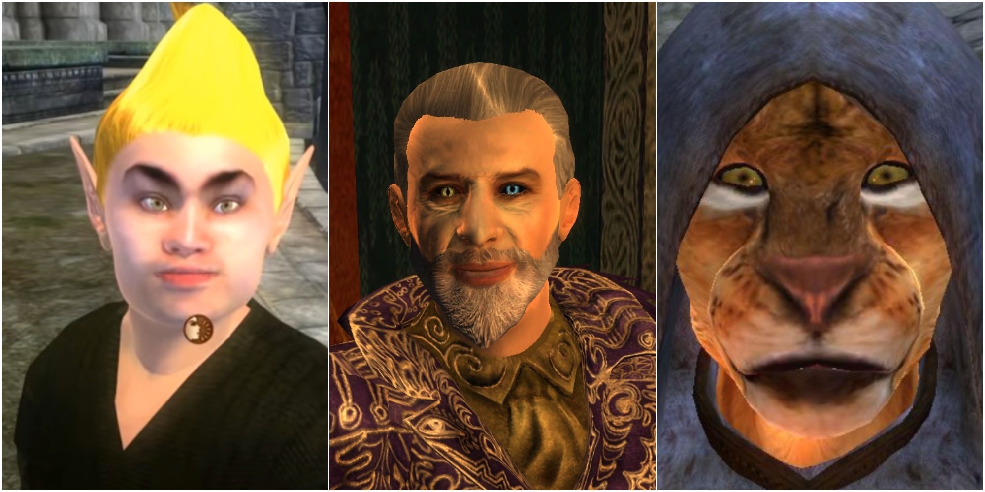Ever wonder which NPC from Oblivion you are deep down?