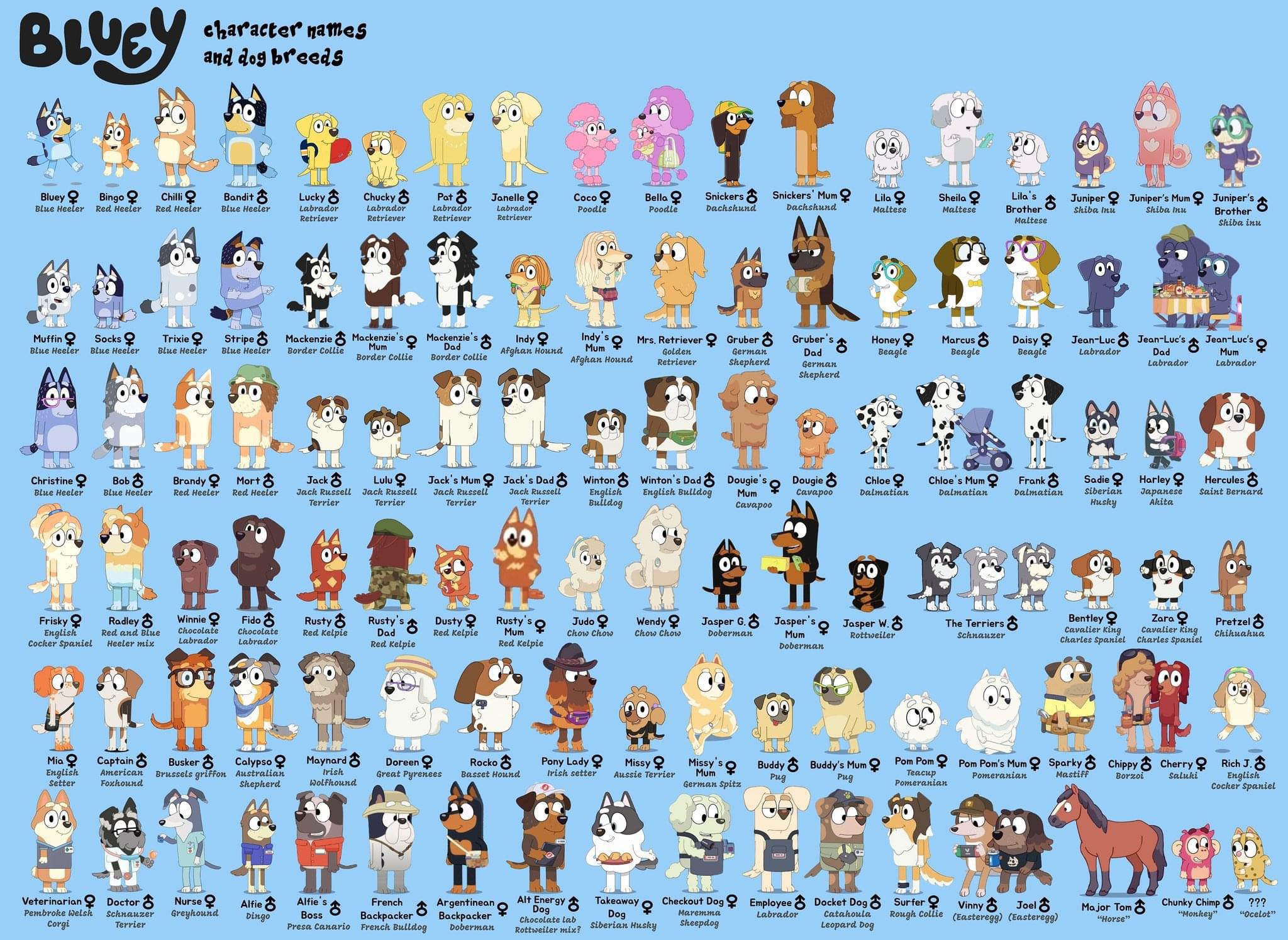 Ever wondered which character from the beloved TV show Bluey you'd be? Take this quiz to find out whether you're more like Bluey, Bingo, Bandit, or another favorite character!