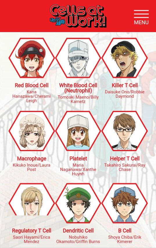 Dive into the microscopic world of 'Cells at Work' and discover which character from this unique anime you resemble the most! Are you a diligent Red Blood Cell, a fierce White Blood Cell, or someone else entirely? Answer these fun and imaginative hypothetical questions to find out!