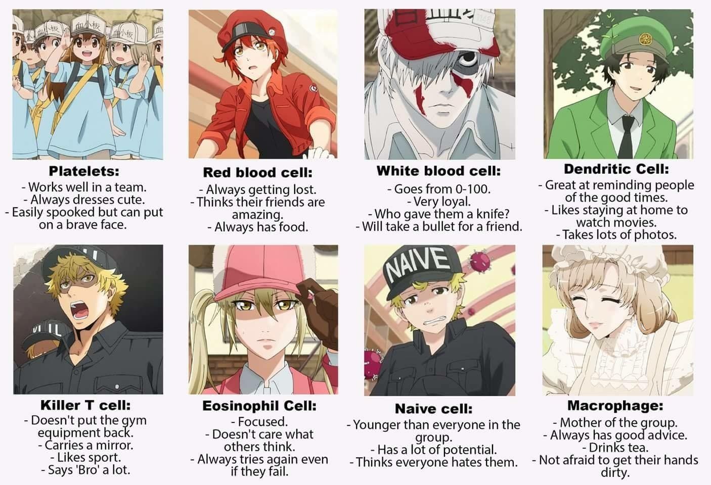 Dive into the fascinating world of 'Cells at Work!' and discover which character you resemble the most. By answering unique hypothetical questions, find out if you're more like a diligent Red Blood Cell, a fierce White Blood Cell, or one of the many other interesting characters.