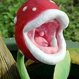 Discover Your Inner Exotic Plant