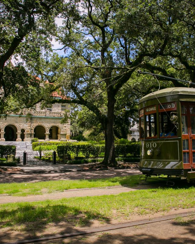 Test your knowledge about the unique gardening practices, plant species, and historical gardens of New Orleans. See if you have what it takes to be a true New Orleans gardening expert!