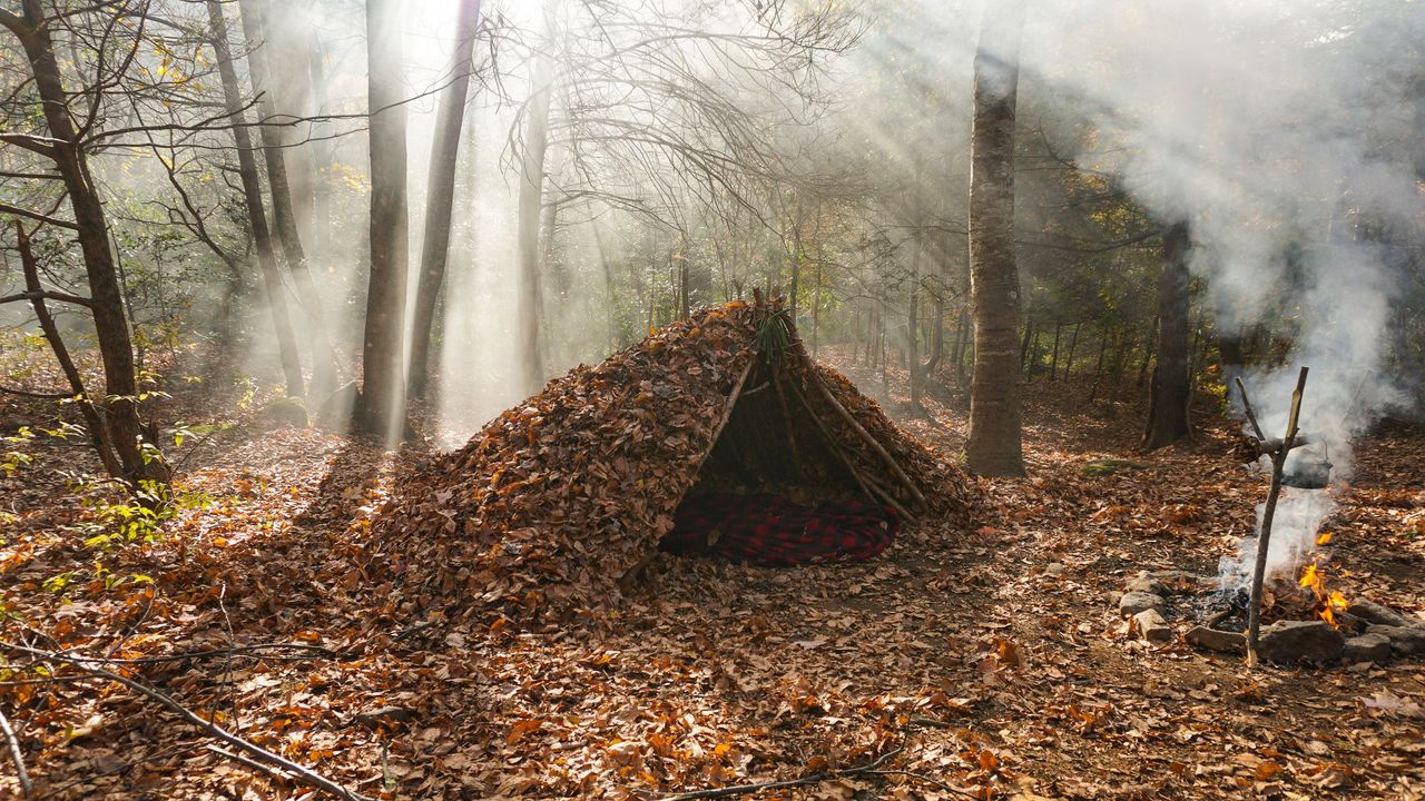 Think you have what it takes to survive in the great British outdoors? Test your knowledge of bushcraft survival skills and see how prepared you are for the ultimate wilderness adventure.