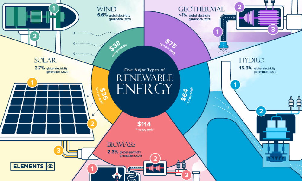 Discover how much you know about the different types of biomass, their sources, and their applications. Perfect for those interested in renewable energy and sustainability.