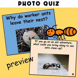 Discover Your Role in the Ant Colony!
