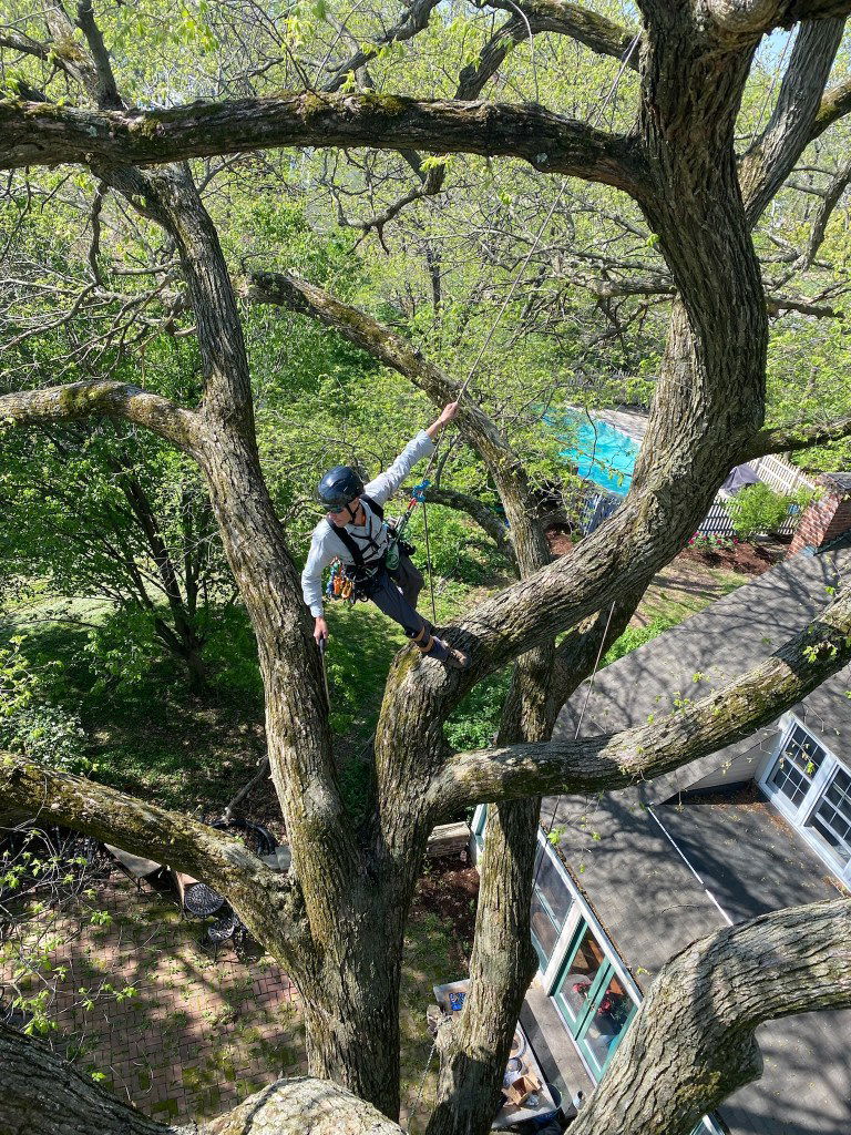 Think you know all there is to know about climbing buildings? Test your knowledge on various climbing techniques, safety practices, and the history of urban climbing!