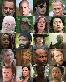 Which Walking Dead Character Matches Your Personality?