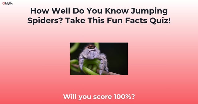 Spiders are some of the most amazing creatures on Earth with unique characteristics and fascinating behaviors. How well do you know them? Take this quiz to find out!