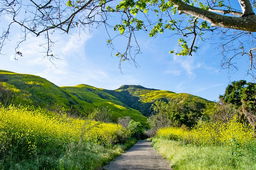 Southern Californian Hiking Trails and Tips Quiz