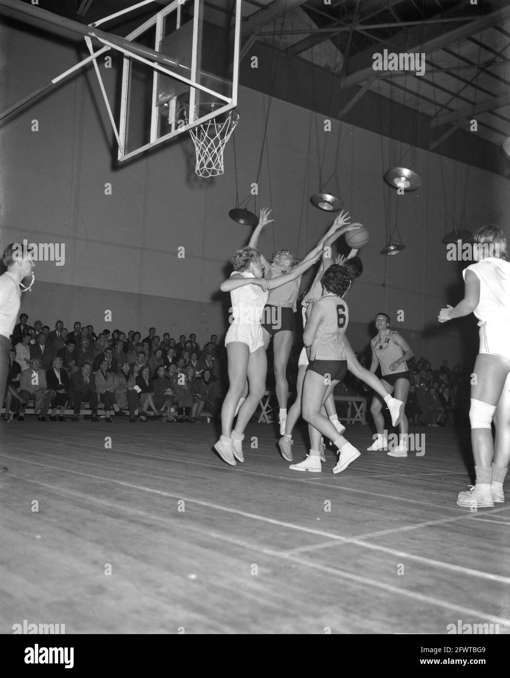 Test your knowledge on the historical basketball matchups and significant moments between Germany and the Netherlands. How much do you know about their past encounters and star players?