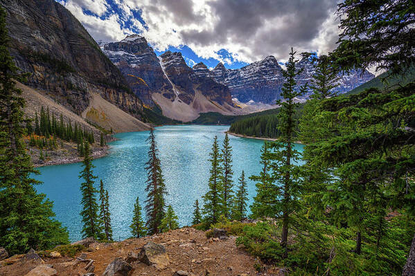 Think you know everything about Alberta? 