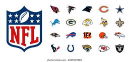 Which NFL Team Is Your Perfect Fit?