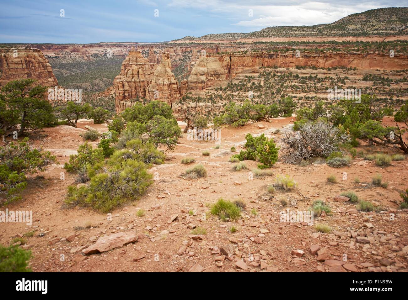 Think you know everything about the Centennial State? Test your knowledge on Colorado’s rich history, diverse geography, famous residents, and vibrant culture. Learn fun facts along the way!