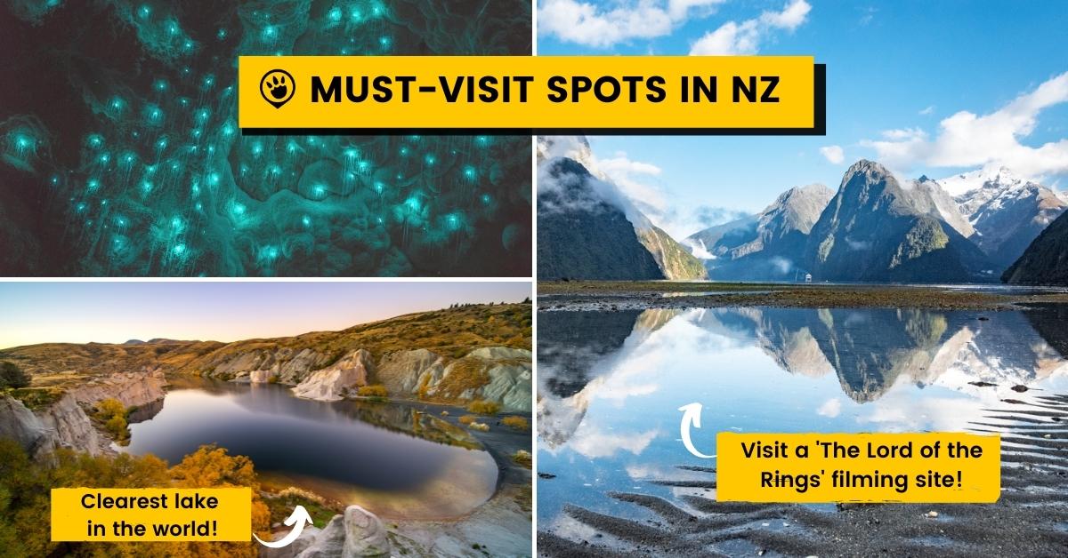 Discover New Zealand: A Kiwi Knowledge Quiz