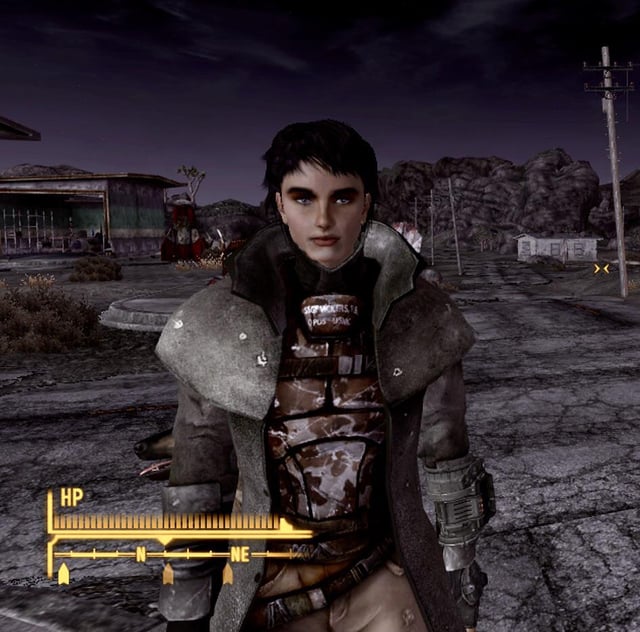 Step into the Mojave Wasteland and discover which iconic Fallout: New Vegas character you are most like. Are you a diplomatic fixer, a ruthless survivor, or a wild card? Answer our questions to find out!