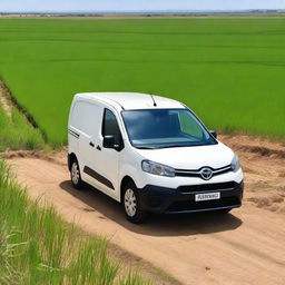 A white Toyota Proace City cargo van is parked in a freshly planted rice field in Valencia, Spain