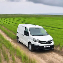 A white Toyota Proace City cargo van in a Valencian rice field