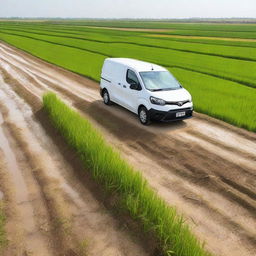 A white Toyota Proace City cargo van in a Valencian rice field