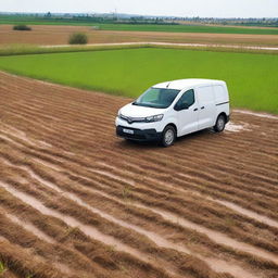 A white Toyota Proace City cargo van in a Valencian rice field