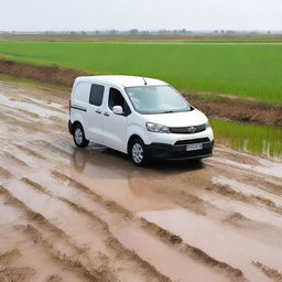 A white Toyota Proace City cargo van in a Valencian rice field