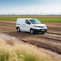 A white Toyota Proace City cargo van in a Valencian rice field