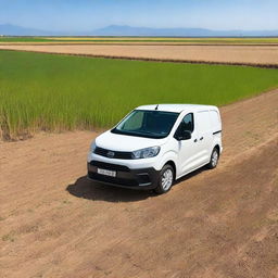 A white Toyota Proace City cargo van in a Valencian rice field