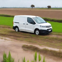 A white Toyota Proace City cargo van in a Valencian rice field