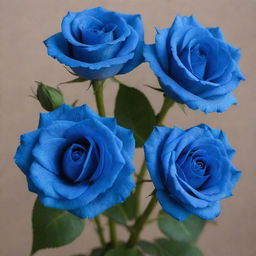 Three visually striking blue roses. Each rose has 16 lush, delicate petals.