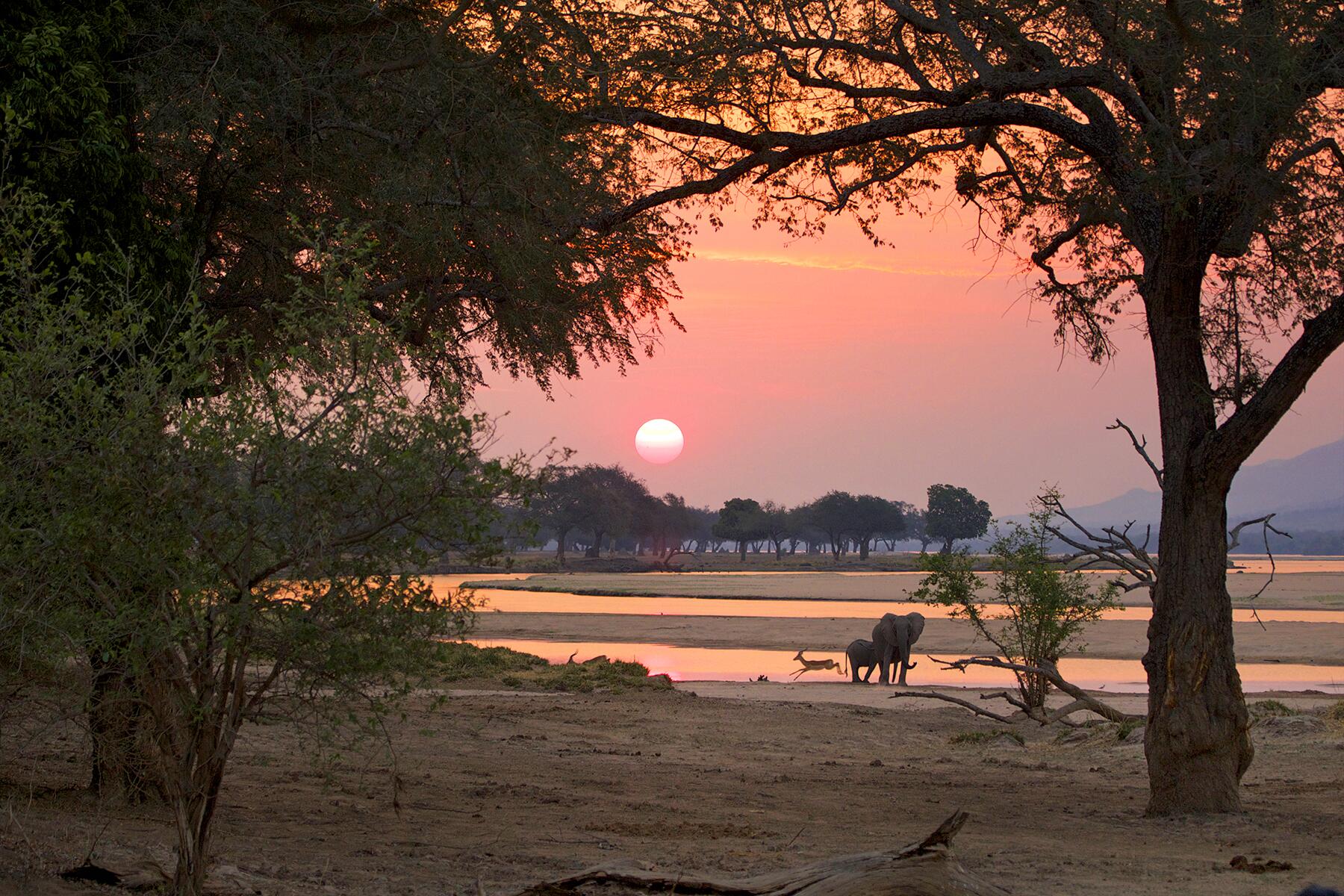 Zimbabwe is a country rich in culture, history, and natural beauty. Discover which must-visit destination in Zimbabwe suits your interests and personality.