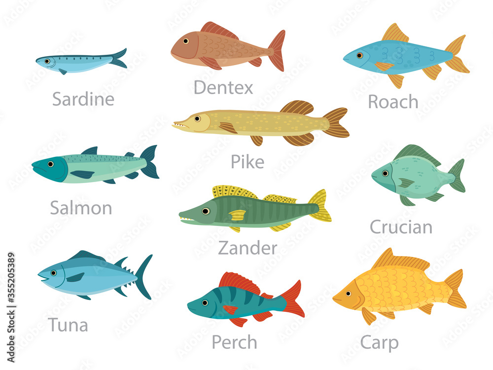 What Type of Carp Fisher Are You?