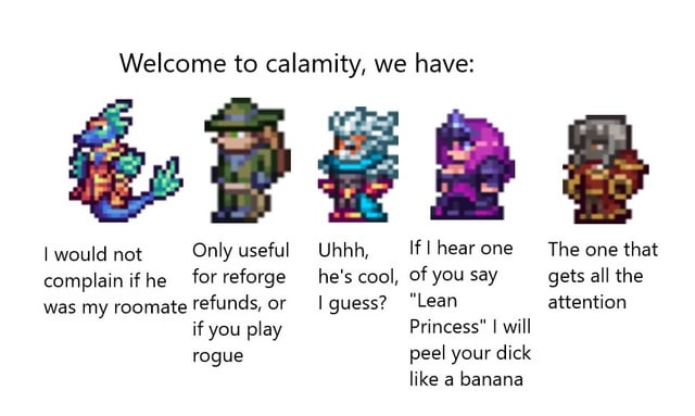 Which Calamity Mod Character Are You?