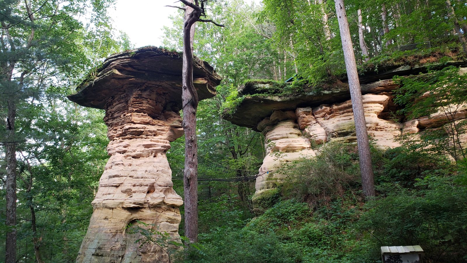 Think you know all there is to know about the Badger State? Test your knowledge on Wisconsin's history, landmarks, culture, and notable events.