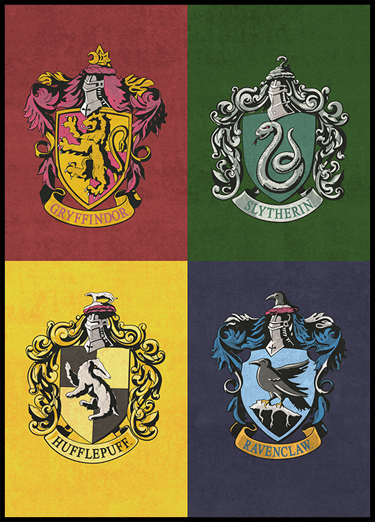 Which Hogwarts House Do You Belong To?