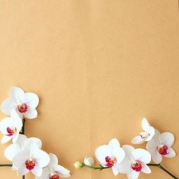 Create an image of a brown paper with a classic orchid border