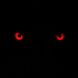 A close-up image of a pair of intense, glowing red eyes in a dark background