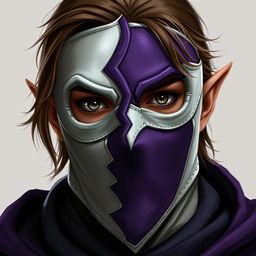 A half-elf male rogue with brown hair wearing a mask that covers his entire face