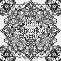 A detailed and intricate cover page for an adult colouring book