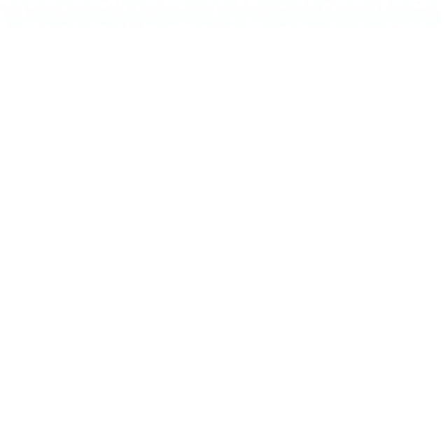 A blank image with no content.