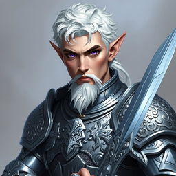 Create an image of a high fantasy astral elf paladin