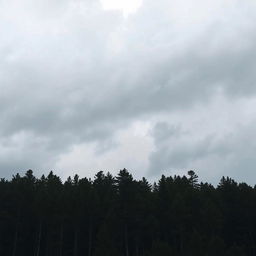 A cloudy sky over a dense forest