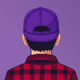 Create a pixel art image featuring the back view of a person wearing a purple cap and a red and black checkered shirt