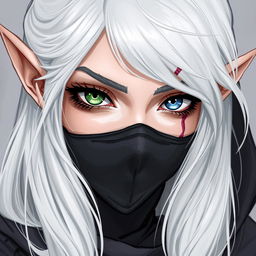 A detailed illustration of an elven female rogue with white hair