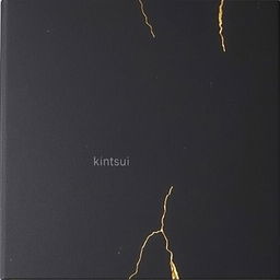 A paperback book cover with a completely matte black background featuring a few random golden cracks