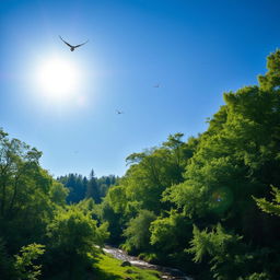 A peaceful scene of a lush green forest with a clear blue sky