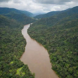 A scenic landscape of Chocó department in Colombia, with lush vegetation, vibrant wildlife, and rivers snaking through the thick jungle.