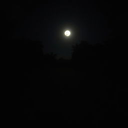 A dark night scene in a dense forest area with a full moon shining brightly in the sky