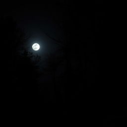 A dark night scene in a forest area with a full moon illuminating the sky