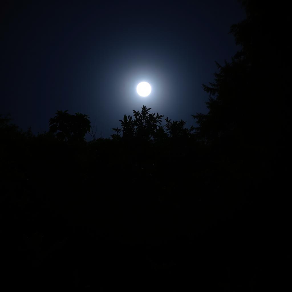 A night scene in a forest area with a full moon shining brightly in the sky